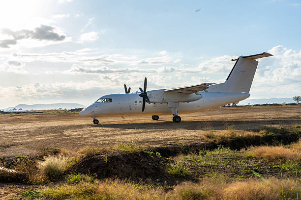 Mikumi National Park